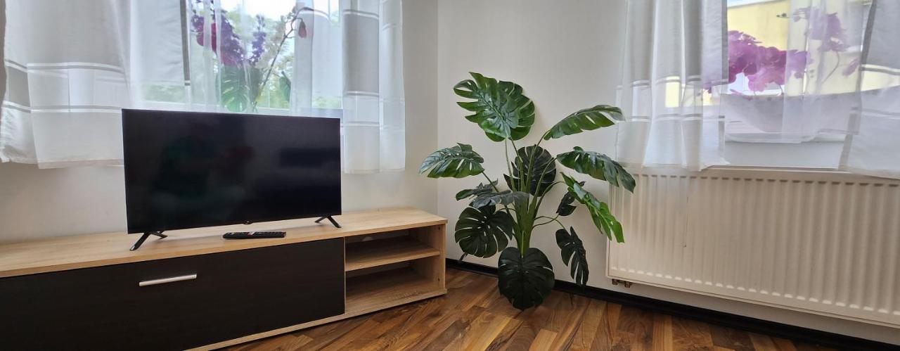 Elena Flat Orchidee Duisburg Zentrum Kültér fotó