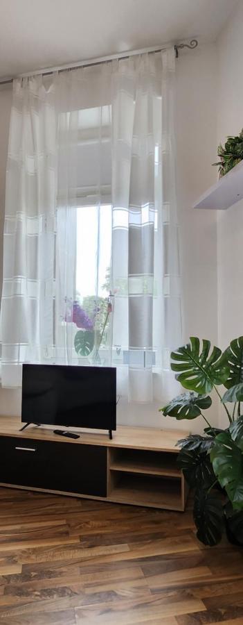 Elena Flat Orchidee Duisburg Zentrum Kültér fotó
